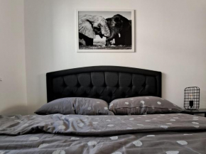Elephant Apartments